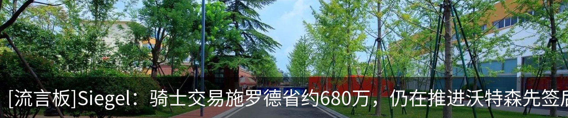 新闻动态